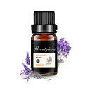 Beautytrees 【ラベンダー自然な香りを追求 】ラベンダー 精油 10ml エッセンシャルオイル アロマオイル アロマ 天然100% 部屋用 加湿器用 ...