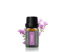 Cywinfow タイム精油 アロマオイル 100%天然植物由来 タイムエッセンシャルオイル 10ml (標準サイズ)