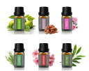 Cywinfow 精油 アロマオイル 100%天然植物由来 エッセンシャルオイル 10ML (標準サイズ, ティーツリー/ゼラニウム/ローズ/ベルガモット/サイ...