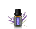 Cywinfow ラベンダー精油 アロマオイル 100%天然植物由来 ラベンダーエッセンシャルオイル 10ml (標準サイズ)