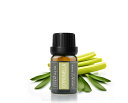 Cywinfow シトロネラ精油 アロマオイル 100%天然植物由来 シトロネラエッセンシャルオイル 10ml (標準サイズ)