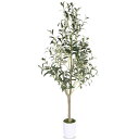 人工観葉植物 オリーブの木 フェイクグリーン 高さ120cm 造花 観葉樹 光触媒 空気清浄 インテリア 飾り 世話いらず 水やり不要 オフィス ホーム デコレ...
