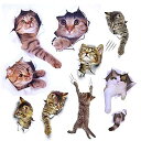 Pazi ウォールステッカー 猫 剥がせる 壁 ステッカー ねこ シール かわいい 3D 簡単 DIY 可愛い 貼ってはがせる 動物 壁紙 トイレ 部屋 キッチ...
