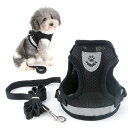 RANPHY メッシュ 犬用 ハーネス 胴輪 反射材料付き リード セット 超小型犬 小型犬 子犬 猫 散歩/訓練/お出掛 ペット はーねす 安全 抜けない 軽量 調節可能 通気性が 4色 (ブラック,M)