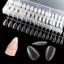 ネイルチップ ポイント ショートM 全貼り 両面マット 付け爪 超薄 15サイズ 240枚セット ノンサンディング フルカバー プレーンチップ クリアチップ 練習用