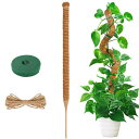 YOUSHY 園芸支柱 観葉植物モン ステ ラ 支柱 ヘゴ支柱つる性植物 ココスティック支柱 植物サポート 維持水分 養分維持 ココナッツ支柱 ガーデニング支柱...