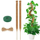YOUSHY 園芸支柱 観葉植物モンス テラ 支柱 ヘゴ支柱つる性植物 ココスティック支柱 植物サポート 維持水分 養分維持 ココナッツ支柱 ガーデニング支柱 ...