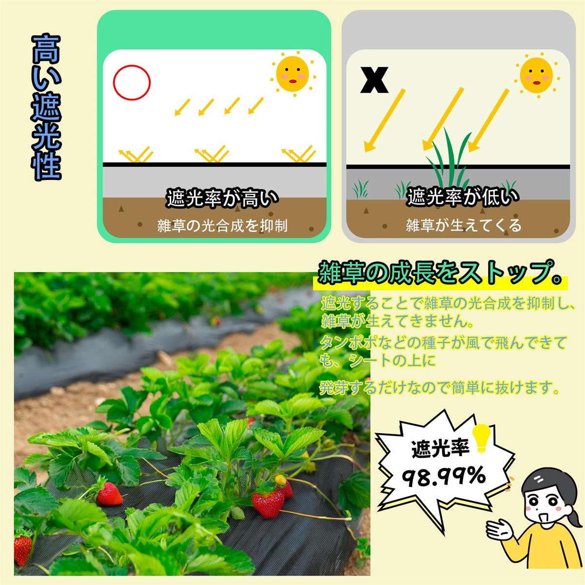 防草シート 厚手 高耐久 1×10M シート防草 不織布 除草シート補修テープ 雑草防止...