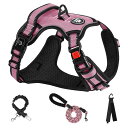 NESTROAD 犬 ハーネス 犬用胴輪 調節可能 夜間反射 小型犬/中型犬/大型犬 通気性 メッシュ 歩行補助 散歩 しつけ用 軽量 安全 おしゃれ 引っ張り...