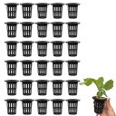 LIKENNY 水耕栽培鉢 定植かご プラスチックメッシュポット 植物育成カップ 水耕栽培ポット 園芸 庭園 ガーデンニング 苗運搬 植物栽培 無肥料 養液 有機栽培 水培養 定植育苗かご 幅広い使用 円筒形 (30個セット)