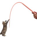 猫 おもちゃ ネズミのしっぽ シリコン製 猫の杖 柔らかい 猫用おもちゃ 釣り竿 ねこじゃらし 取外し可能の尾 運動不足 ストレス解消 猫遊び 道具 猫のおもち...
