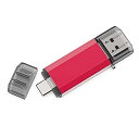 RAOYI TypeC USBメモリ 128GB USB3.0 タイプ...(2)