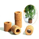 水生植物固定リング 5個セット 水草固定リング 水槽の植物ホルダー 水槽オーナメント 水槽の装飾 花壇 金魚 苔盆栽 底砂 溶岩石 水草の固定 ほとんどの水草の...