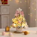 GOKEI クリスマスツリー 卓上 35cm 【 LEDライト付き 電池式 2024新登場】 ミニツリー クリスマス 雪化粧 卓上ツリー 北欧 イルミネーション...