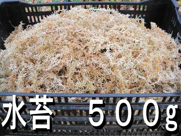 『水苔(ミズゴケ)』ニュージーランド産5A 500g