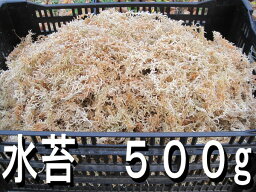 『水苔(ミズゴケ)』ニュージーランド産5A、500g