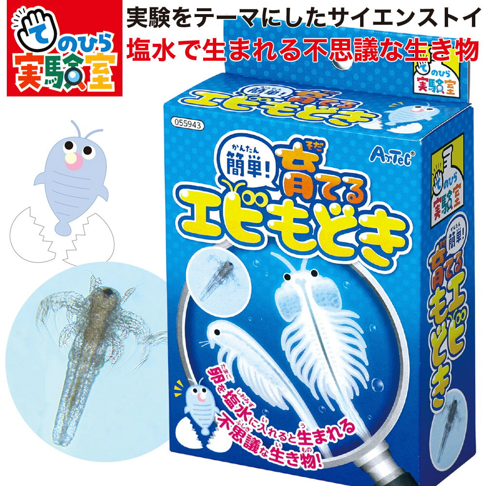 乐天商城 - 卵を塩水に入れると生まれる 不思議な生き物 エビもどき 育成 自由研究 夏休み 宿題 理科 教材 小学生 低学年 子供 プレゼント ラッピング無料 てのひら実験室 簡単 楽しい 実験 キット 粗品 景品 お配り