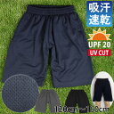 ̑ pc X|[cEFA G hCbV z UPF20 UVJbg n[t ̑ Ks 120cm 130cm 140cm 150cm 160cm j̎q ̎q jp t