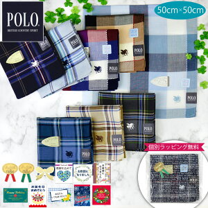 POLO BCS ֥ Ƚ ϥ󥫥 å ɽ ١å  奢 ӥͥˤ礦ɤ 50cm åԥ̵   ࿦ ۤ ´ ̤  ǰ ۤ ꥹޥ   ץ쥼 ե Կ» 󥺡