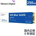 【国内正規流通品】 Western Digital ウエスタンデジタル 内蔵SSD 250GB WD Blue SA510 M.2-2280 SATA WDS250G3B0B 省電力 sata3 ノートPC 増設 7mm 長寿命 増設 高速 PCパーツ 内蔵ssd