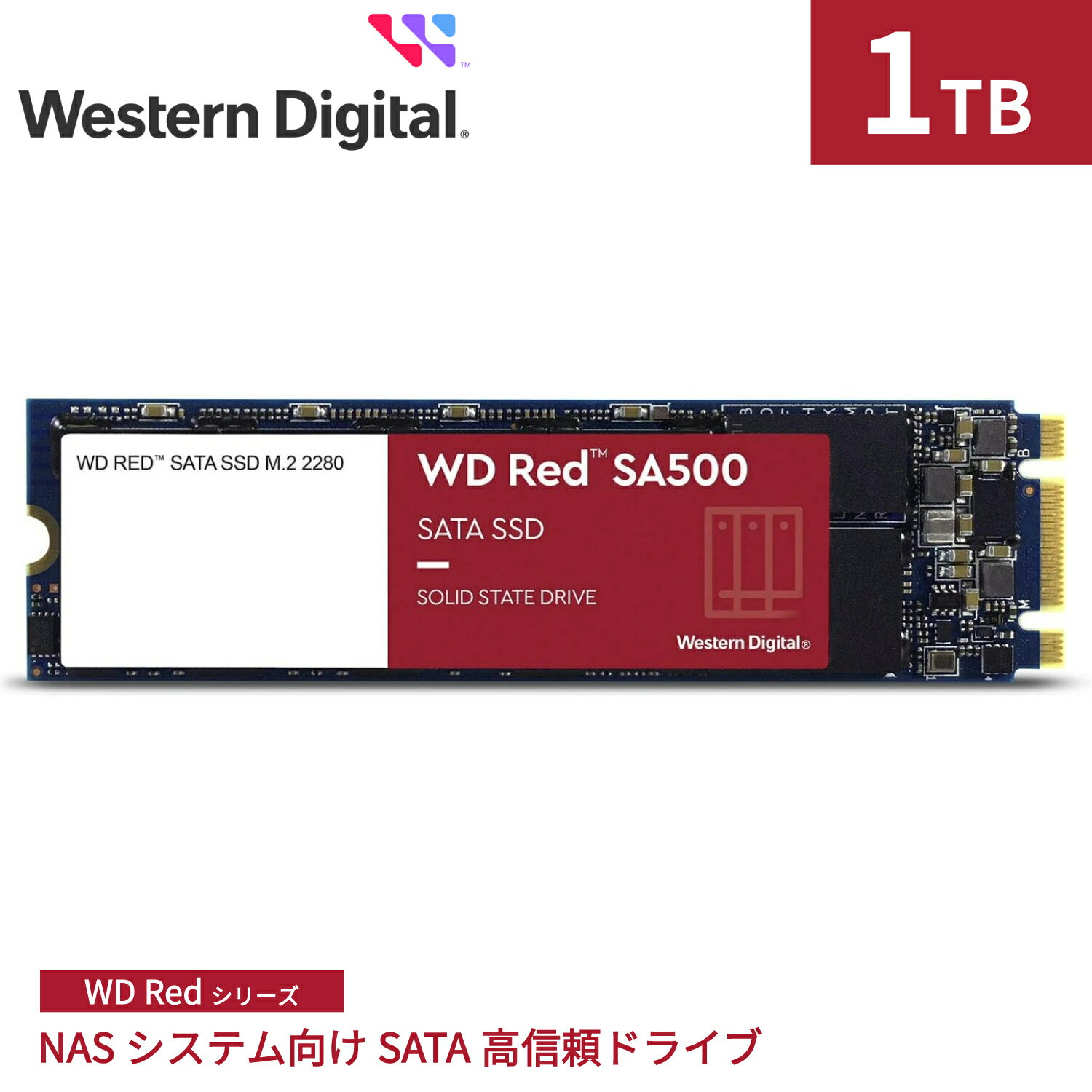ڹήʡ Western Digital ǥ ¢SSD 1TB WD Red SA500 NAS ѵ M.2-2280 SATA WDS100T1R0B | ǥȥåPC ΡPC NAS  7mm Ĺ̿ Ĺݾ  ® PCѡ ¢ssd