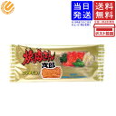 菓道 焼肉さん太郎 1枚 送料無料 単品