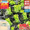 1000円ポッキリ 送料無料 訳あり マスカットゼリー 凍らせて食べるシャーベット シャインマスカット こんにゃくゼリー 18g × 30個 国産..