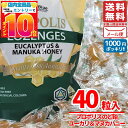 1000円ポッキリ 送料無料 訳あり マ