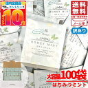 はちみつ紅茶 ミントティー ティーバッグ jb ノンカフェイン 1.5gx100包 蜂蜜紅茶 セイロン 訳あり メール便 コストコ 通販 送料無料