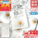 カモミールティー ティーバッグ JAF TEA 紅茶 1.5gx10包 ノンカフェイン カモミールドリーム 訳あり メール便 コストコ 通販 送料無料
