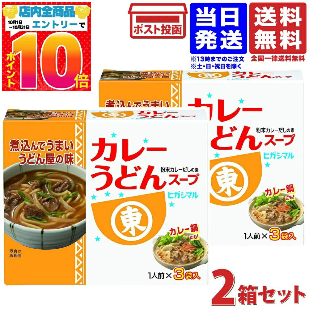 ヒガシマル カレーうどんスープ 3袋入 2箱セット 送料無料