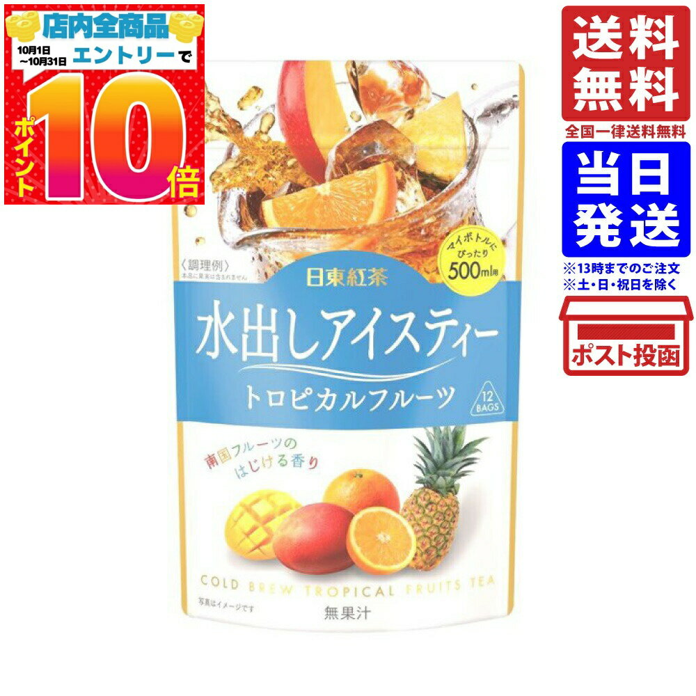 日東紅茶 水出し アイスティー トロピカルフルーツ 48g (12袋入)