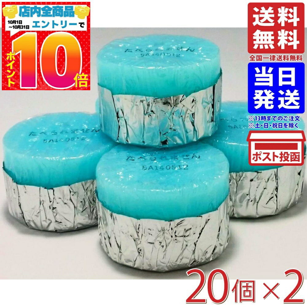 固形燃料 カエン ニューエースE 15g 20個入×2袋 2小袋販売 送料無料