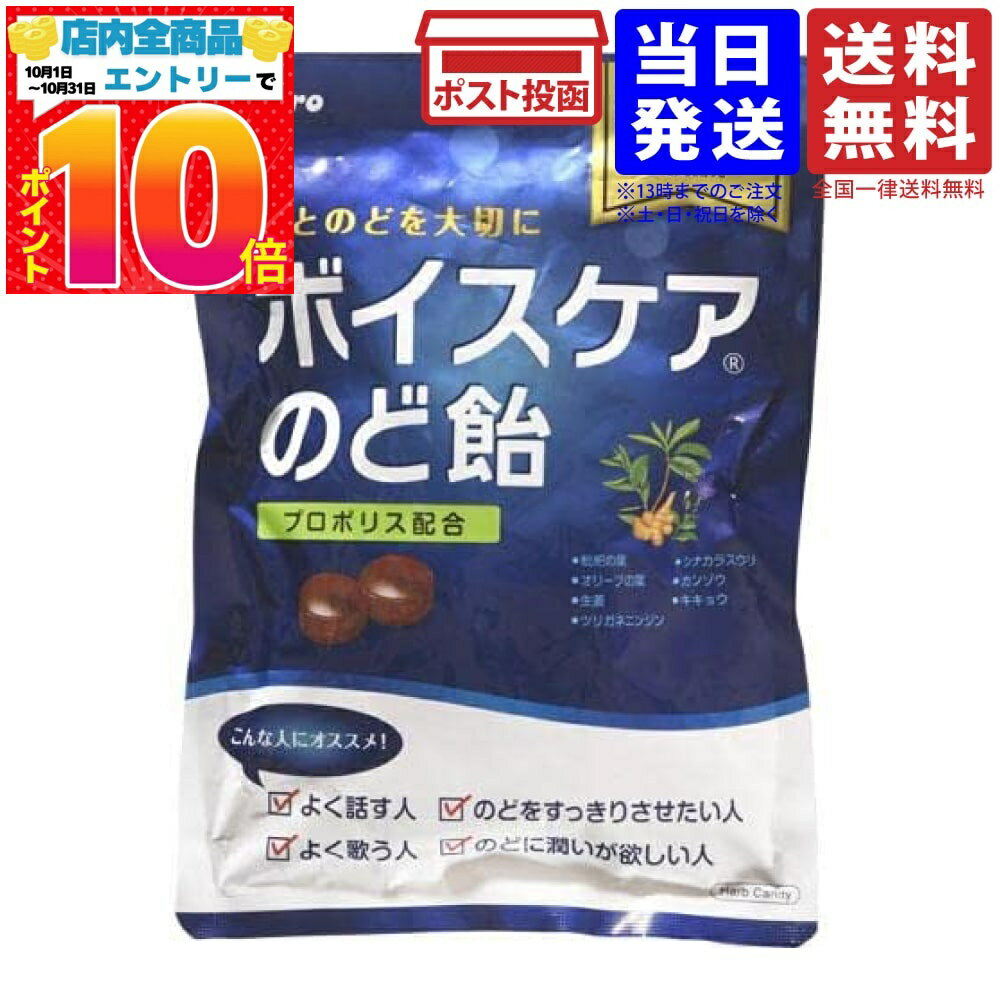 カンロ ボイスケア のど飴 70g 単品 送料無料