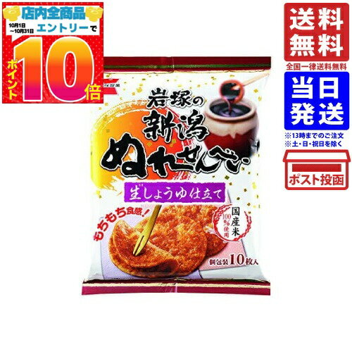 岩塚製菓 新潟ぬれせんべい 生しょうゆ仕立て 10枚入 単品 送料無料