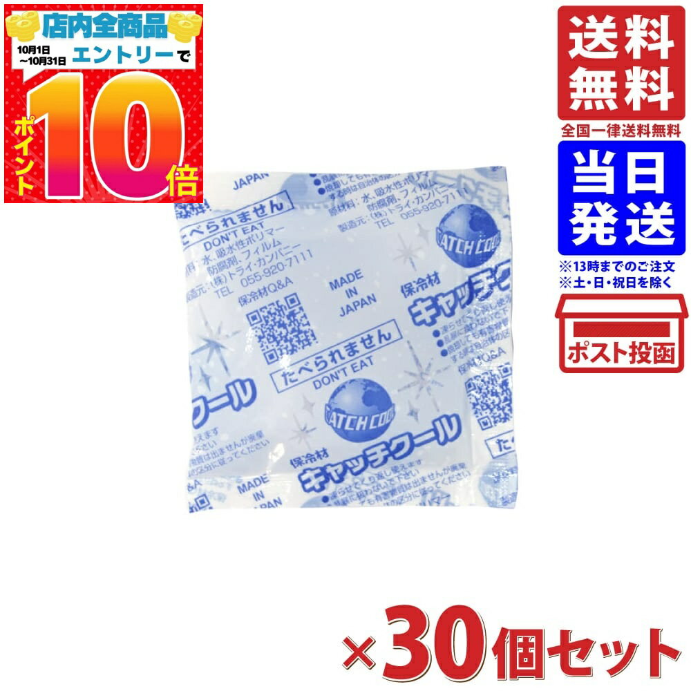 保冷剤 キャッチクール 20g 70mm×70mm 30個セット 送料無料
