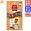 銀のスプーン 三ツ星グルメ おやつ お魚味 クッキーサンド まぐろ・チキン味 24g 猫用おやつ