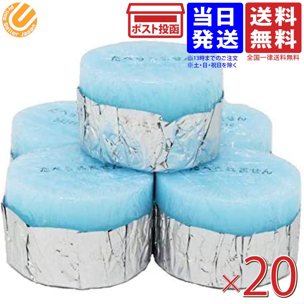固形燃料 25g 20個 カエンニューエースE 1パック ニイタカ メール便 送料無料のサムネイル