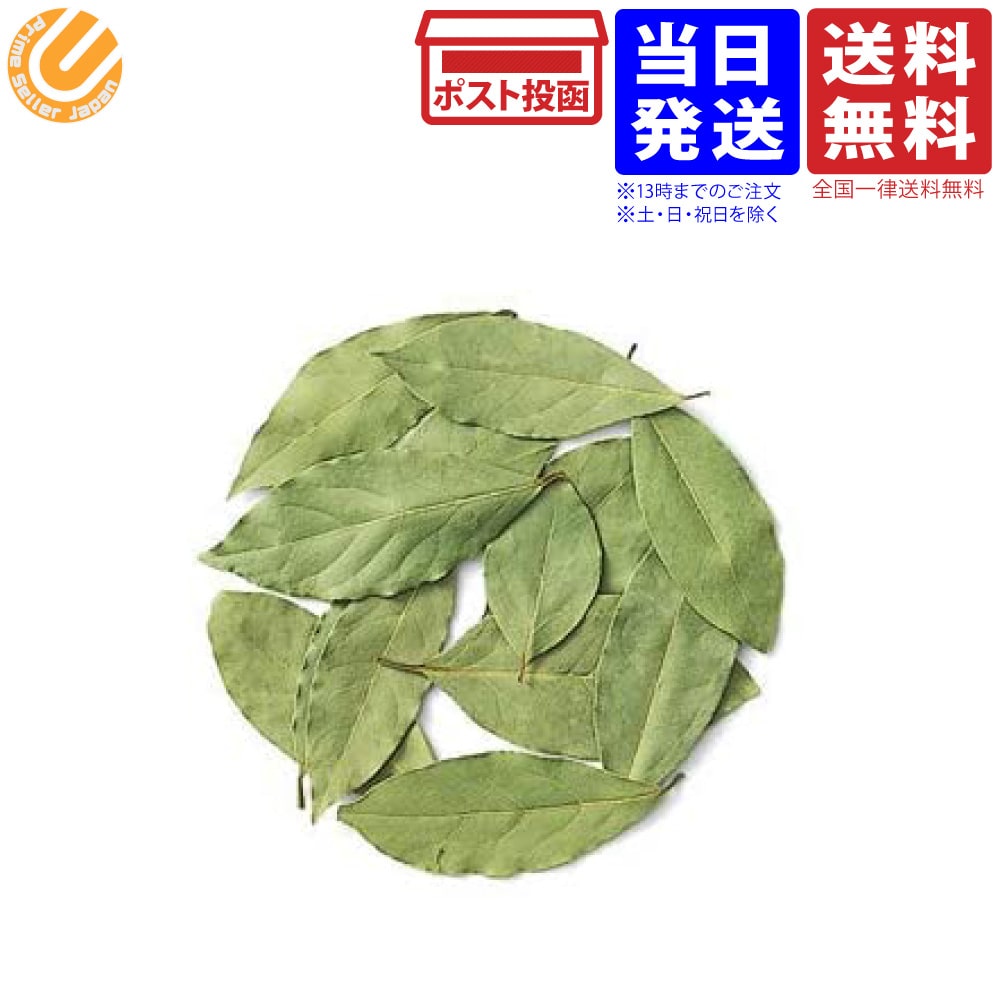 S&B セレクトスパイス ローレル 100g 送料無料