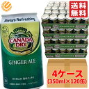 カナダドライ ジンジャーエール 缶 350ml ×120缶 (30缶 ×4ケース) 段ボール梱包 コストコ 通販 送料無料