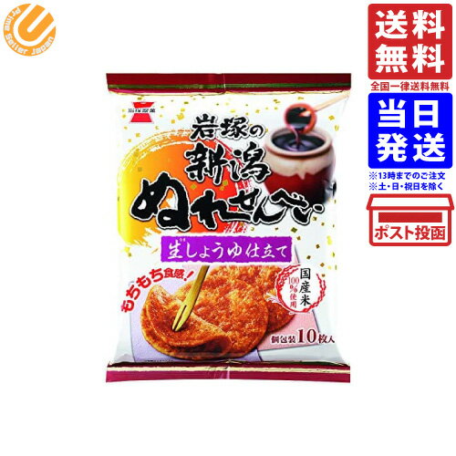 岩塚製菓 新潟ぬれせんべい 生しょうゆ仕立て 10枚入 単品 送料無料