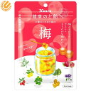 カンロ 健康のど飴 梅 90g