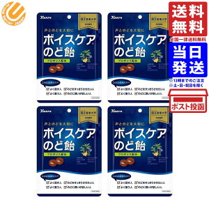 カンロ ボイスケア のど飴 70g×4個 送料無料