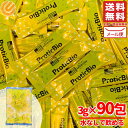 プロバイオティクス サプリ 乳酸菌 3g × 90包 プロティックバイオ コストコ メール便 通販 送料無料