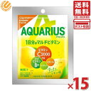 アクエリアス 1日分のマルチビタミン パウダー 51g ×15袋セット 送料無料