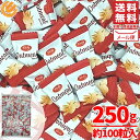 オートミール ミニバイト 250g (約100粒) チョコ風 スナック 個包装 お菓子 メール便 コストコ 通販 送料無料