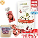 賞味期限2025年7月 アウトレット バルサミコ酢 小分け ドレッシング 使い切り オリーブオイル入り 14ml×20個 アルカラ 1000円ポッキリ 訳あり メール便 コストコ 通販 送料無料