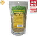 自然派宣言 黒瀬ペットフード 自然派SPカナリーシード 300g