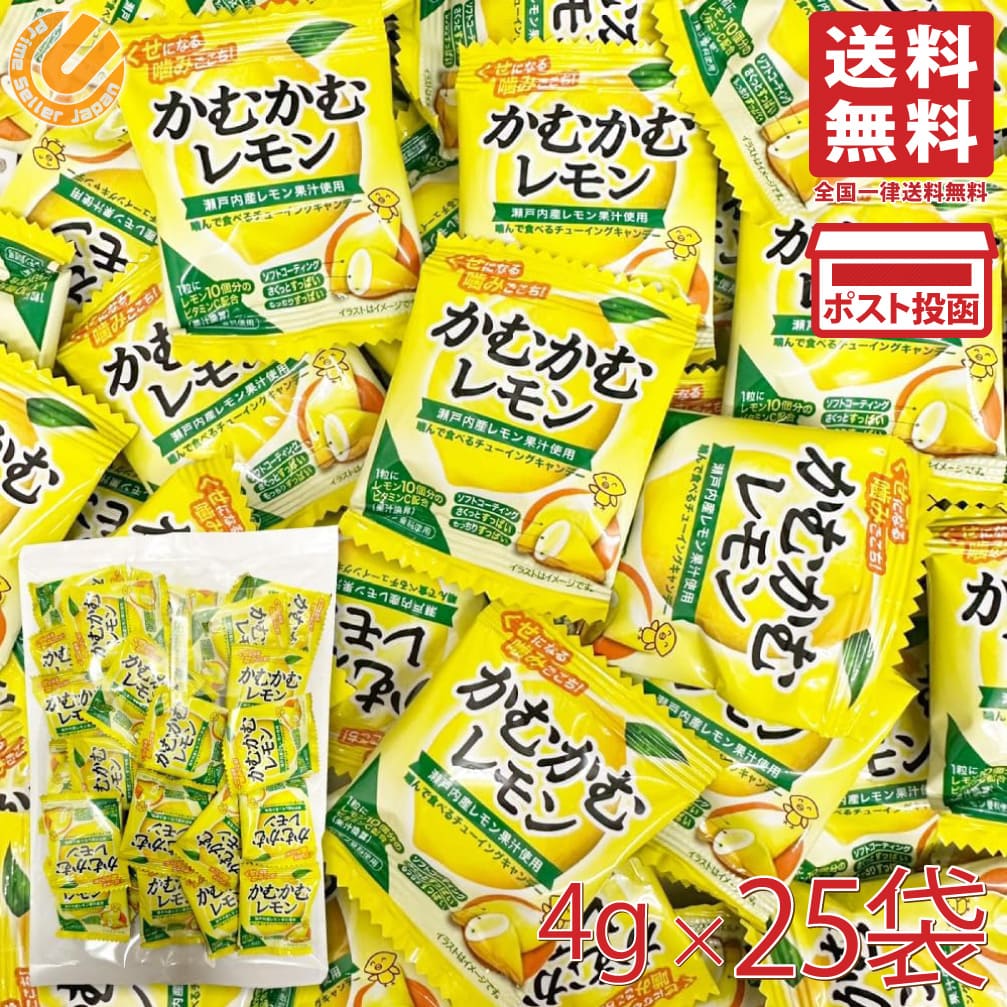 かむかむレモン 4g×25袋 シェアパック 個包装 小袋