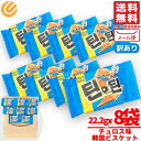 韓国 お菓子 ビスケット チュロス味 22.2g×8袋 THIN IN THIN メール便 訳あり 割れあり コストコ 通販 送料無料